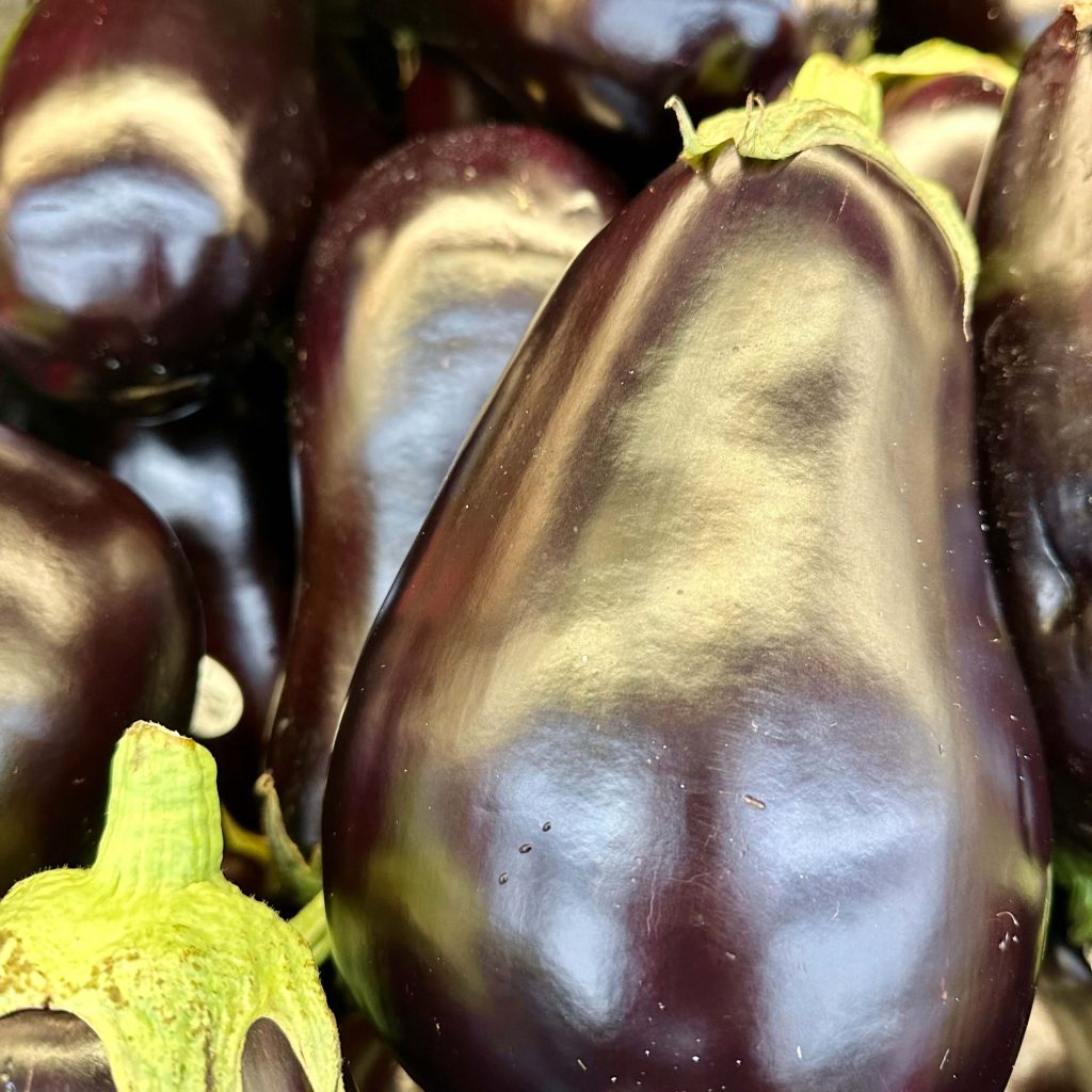 eggplant